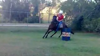 Kayla and bob when she first got him