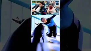 jessica radcliffe video | jessica radcliffe orca attack |Jessica Radcliffe Video | jessica radcliffe