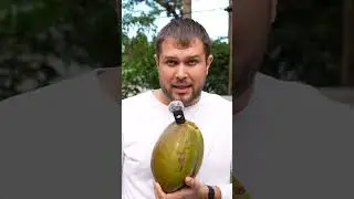 Необычная работа в Майами 🇺🇸