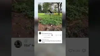 Первый день бега