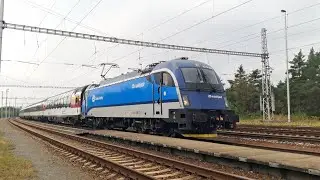 Trains in the Czech Republic September 2025 | Bzenec Privoz | ČD, QBB, Budamar
