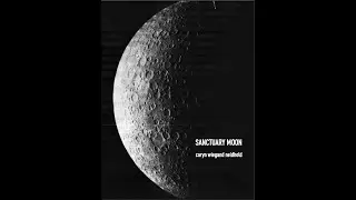 Sanctuary Moon   Caryn Wiegand Neidhold