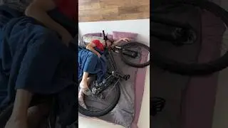 А какой тип ты? Новый велосипед Stern Force 2.0🚲