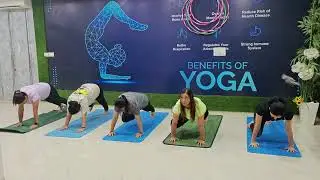 #yogalife #mobilityflow #vinyasayogaflow #yogaexercise