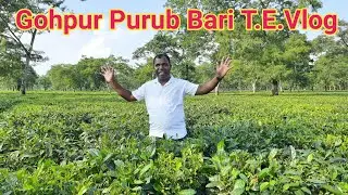 Gohpur Purub Bari T.E. Vlog ! Sadri Tech Vlog