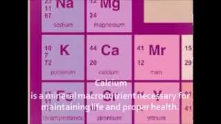 Calcium - A Nutritional Analysis