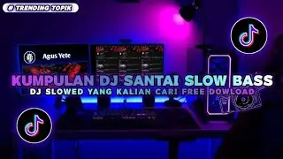 🎧KUMPULAN DJ SANTAI🎵 COCOK SAMBIL KERJA ⅋ HEALING‼️