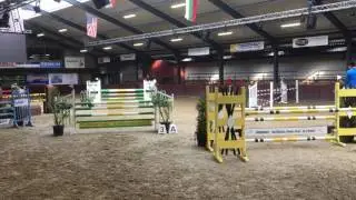 Find Touch GR (Arezzo Vdl x Landgraf I) 1.20 Tolbert