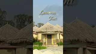 The Fern Diu  Luxury Stay You Must See #diu #hotels #travel #shorts