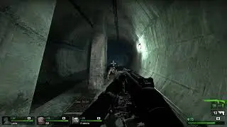 L4D2 Modded Madness!