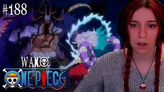 REACCI&Oacute;N A ONE PIECE 👒🏴&zwj;☠️ | WANO | EP 1037 - 1041 | &iexcl;EMPIEZA EL CONTRAATAQUE DE LA ALIANZA! 💥