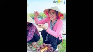 Những trải nghiệm rất riêng, chỉ có tại Rừng dừa Cà Ninh Quảng Ngãi, đến và trải nghiệm ngay!
