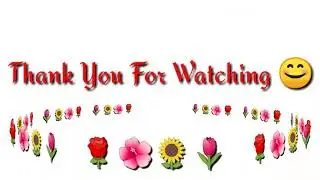 🌷🌹🌺🌻 | Wilson Cano