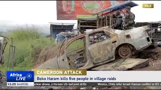 Five killed in Cameroon village raids