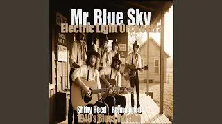 Mr. Blue Sky |1940s Delta Blues Classic | Vintage Revival