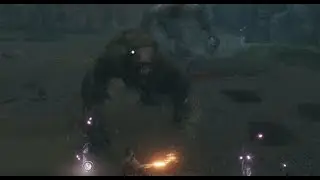 Sekiro -  Double Monkey (Guardian Ape and friend NG+)