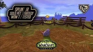 Splint JR - Solo pet Strategy - WoW battle pet Legion 7.2.5