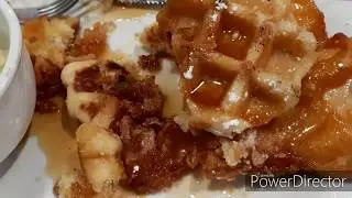 Iron Horse! Brew House. Sherwood OH, review