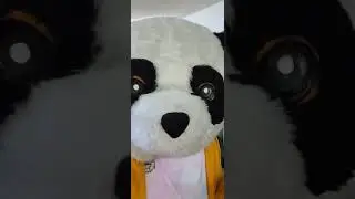 Panda muestra su cara en instagram y despu&eacute;s lo quita pero ac&aacute; est&aacute; la prueba