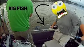 New RECORD Blue Catfish!!