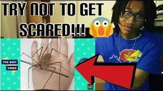 TRY NOT TO FLINCH OR GET SCARED!!!