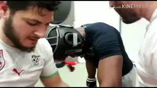 MMA, kickboxing ,werstling
