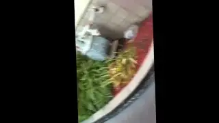 Hoverboard drive thru prank!