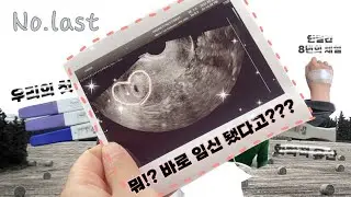 유산 후 재임신ㅣ반려견 행동변화ㅣ연속 임밍아웃ㅣ20대 신혼부부