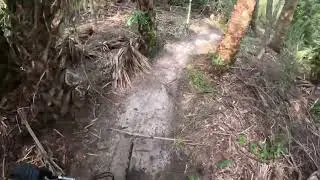 Maintenance ride after the difficult way trimming #trailmaintenance #trailwork #mtb