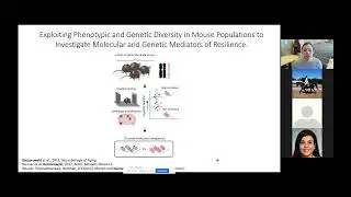 Deconstructing Alzheimer&rsquo;s Disease Complexity to Identify Resilience Mechanisms