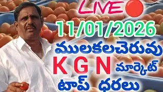మన రైతన్న🌾 is live ములకలచెరువు టమాట మార్కెట్ లైవ్ 🍅🚨🚨