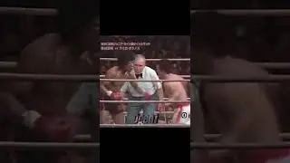 Kuniaki Shibata - Japanese Featherweight & Super Featherweight Champion
