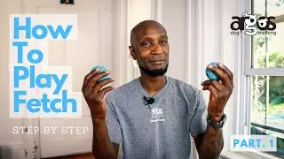 How to Play Fetch |  Part 1. Step by Step Guide
