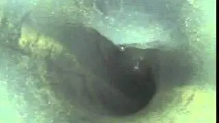 Pool skimmer line break