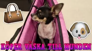 F&ouml;rsta mysdagen med hundvalpen | Vlogg
