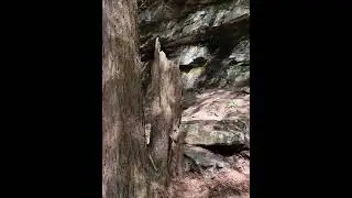Retired Lady Hiker is hiking to Cherokee Falls and Hemlock Falls Cloudland Canyon Park #24hike2022