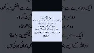 Hassad | Status | Islamic