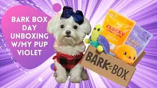 What&rsquo;s Inside the BARKBOX?