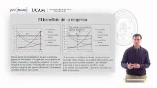 Microeconomía II - La competencia perfecta (6) - Alfonso Rosa