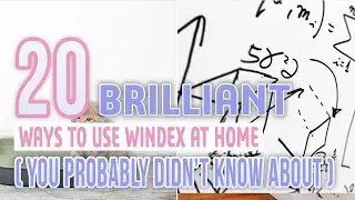 20 Brilliant Ways To Use Windex At Home  You Probably Didn’t Know About