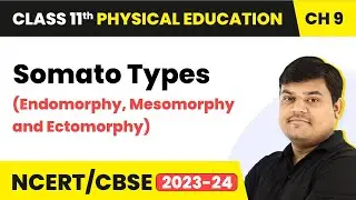 Somato Types (Endomorphy, Mesomorphy and Ectomorphy) | Class 11 Health & Physical Education Ch 9