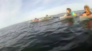 Finboard Carnac