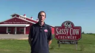 Sassy Cow