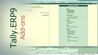 Tally Add Ons :  Item-Wise Party-Wise Sales Report in Tally.ERP9 | Tally Customization