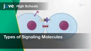 Types of Signaling Molecules | Cell Bio | Video Textbooks - Preview