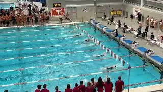 Miranda Grana Wins Big for IU in 51.04 W100 Back - 2024 Texas vs Indiana