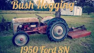 Heavy Bush Hogging with 1950 Ford 8N (POV camera)