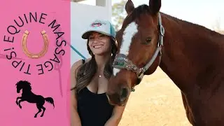 Equine massage and stretching tips