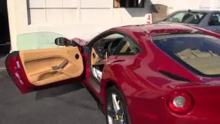 Ferrari F12 Speaker Grill Color Repair Redwood City - Cooks Upholstery Redwood City