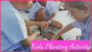 Teaching kids how to plant | School Activity Ideas | Kids Garden